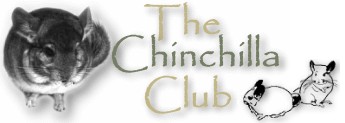 The Chinchilla Club